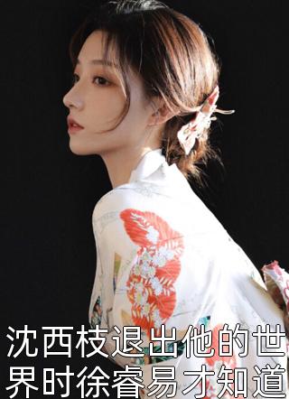 冷云珠宴时年的小说请与我共赴岁月免费阅读