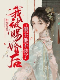 你是我写了一半的情书江望杜轻语小说