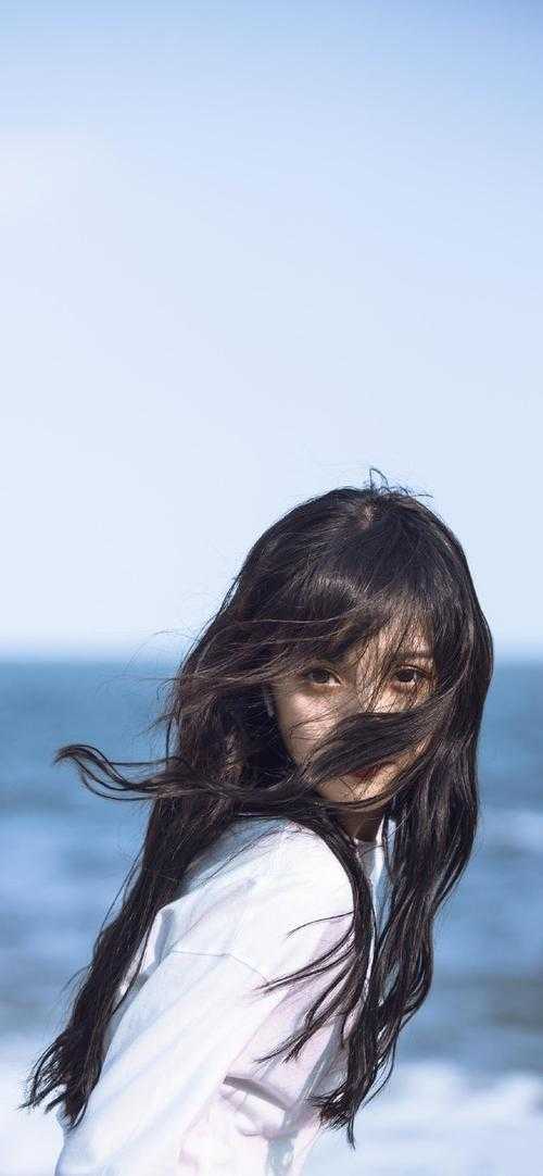 沈云初苏蕴的小说只有相思无尽处