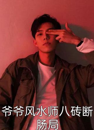 秦臻林意的小说雨落潮汐巷阅读