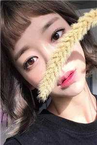 明月高悬，独不照我许绍茵思蕊结局+番外
