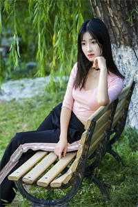 妻子离家三年，我另外成家了叶轻眉宋景行小说完结版