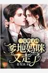 情深错付，来世不见前文+后续