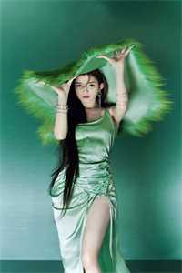相忆不如莫相识裴景年白芷小说完结版