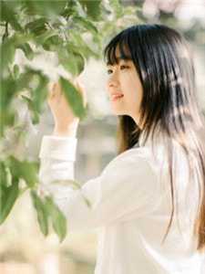 死人文学女主去世前傅瑶傅宸小说结局