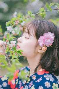 手撕科里新来的小白花李欣夏涛完结版小说