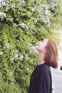 章怀民嘉宜的小说暴⾬来袭，我让男友把泻药当饭吃小说阅读
