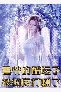老公兼挑两房后小说结局
