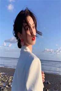 此恨昭昭落斜阳结局+番外小说