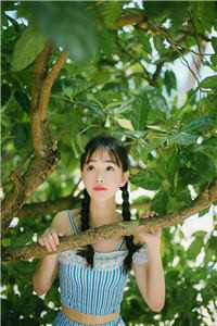 昭昭如月，照我无眠小说全文免费阅读
