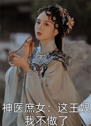 岳父自称来自三十年前 全集